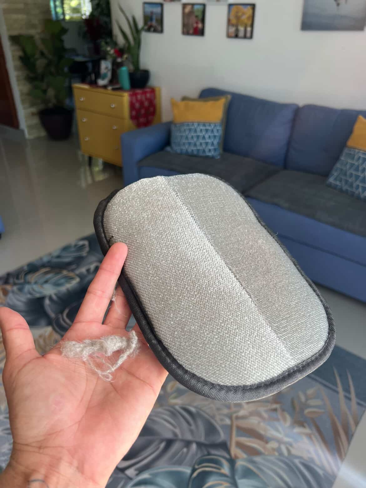 ¡Elimina el pelo de tu sofá y ropa en 5 min 🐶✨ - Carpo Store