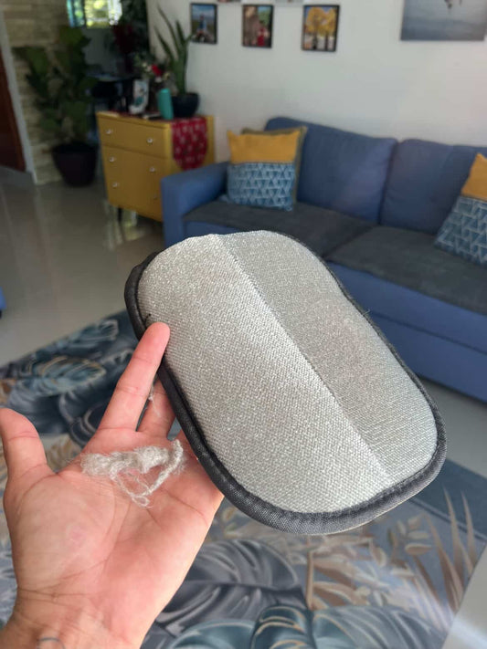 ¡Elimina el pelo de tu sofá y ropa en 5 min 🐶✨ - Carpo Store